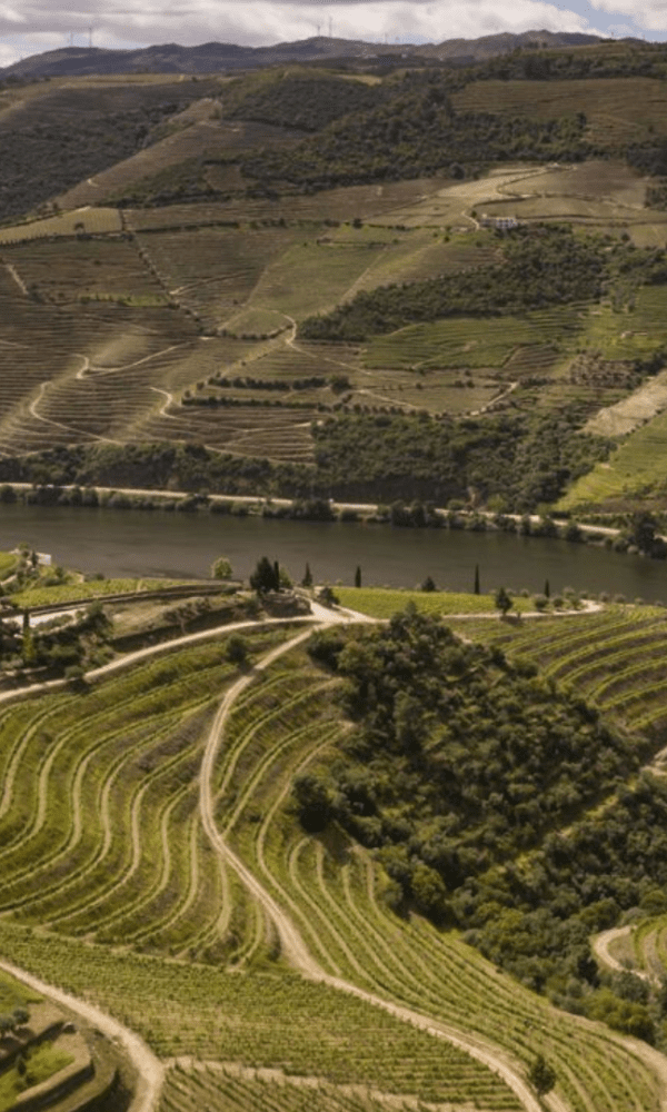 Passeio de trem pelo Vale do Douro, visita a vinhedos, vista para o rio Douro, experiência com a culinária local, passeio de dia inteiro